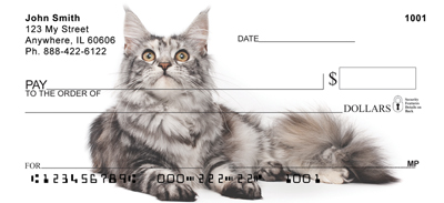 Examples of Maine Coon Checks
