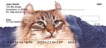 Examples of American Curl Checks